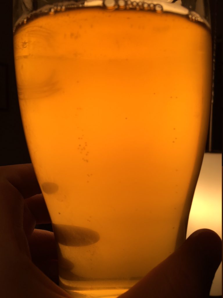 Homebrewing a very Simple Apple (Juice) Cider Brewer's Journey